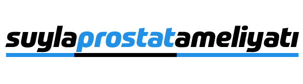 prostat nedir